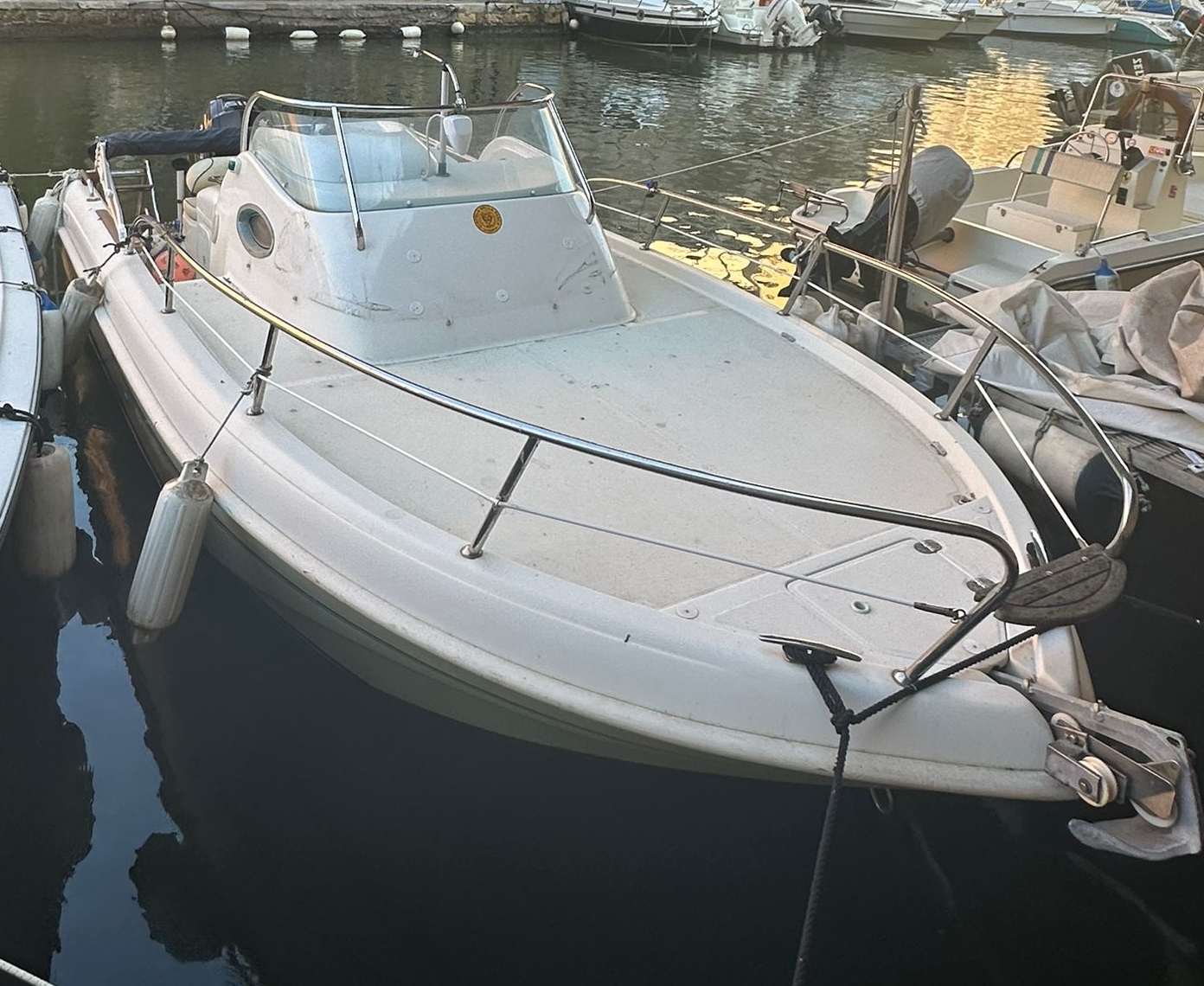 Arkos 607 WA + Mercury 115 HP (2019)<br><a href=dettaglio.aspx?Id=292 >VAI ALLA SCHEDA</a>
